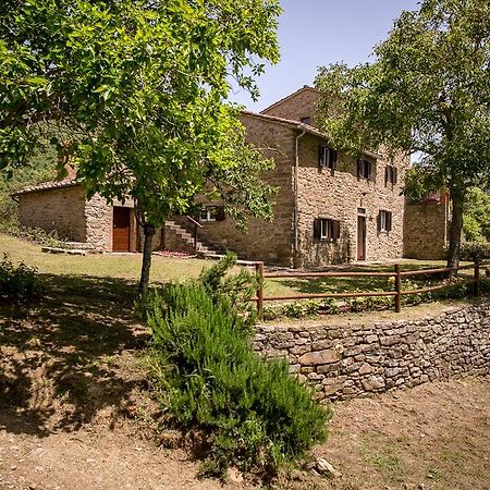 Borgo Al Teto La Vite Apartamento Castiglion Fiorentino Exterior foto