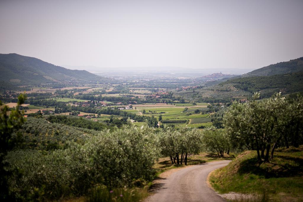 Borgo Al Teto La Vite Apartamento Castiglion Fiorentino Exterior foto