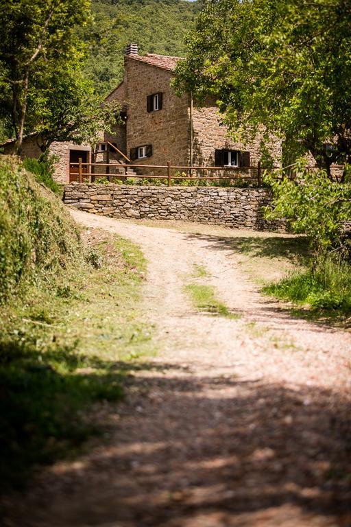 Borgo Al Teto La Vite Apartamento Castiglion Fiorentino Exterior foto
