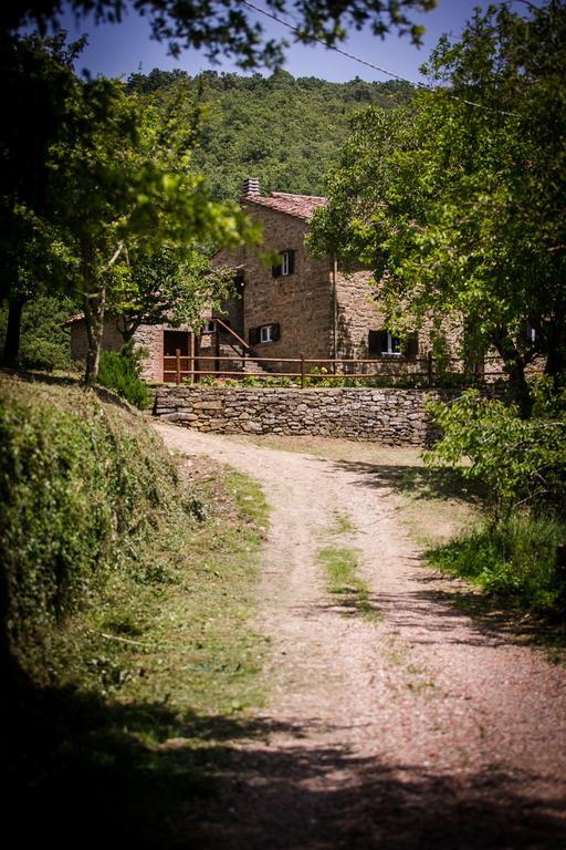 Borgo Al Teto La Vite Apartamento Castiglion Fiorentino Exterior foto