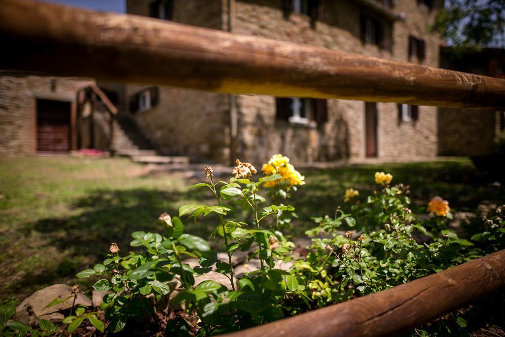 Borgo Al Teto La Vite Apartamento Castiglion Fiorentino Exterior foto