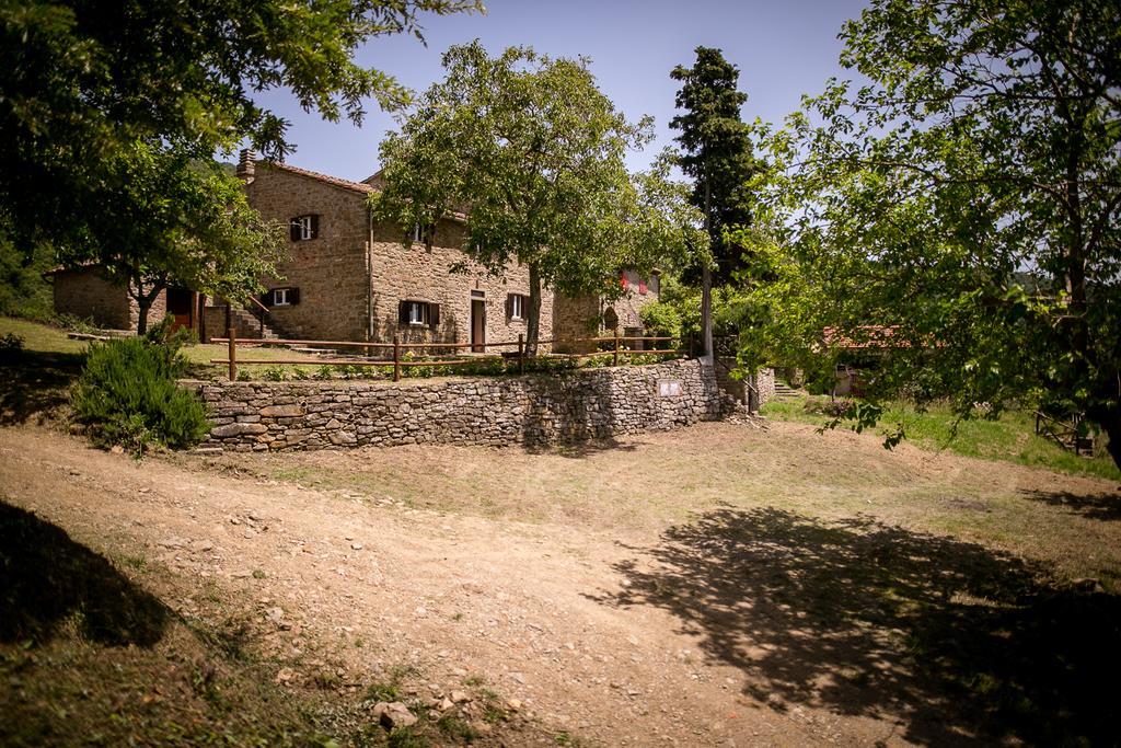 Borgo Al Teto La Vite Apartamento Castiglion Fiorentino Exterior foto