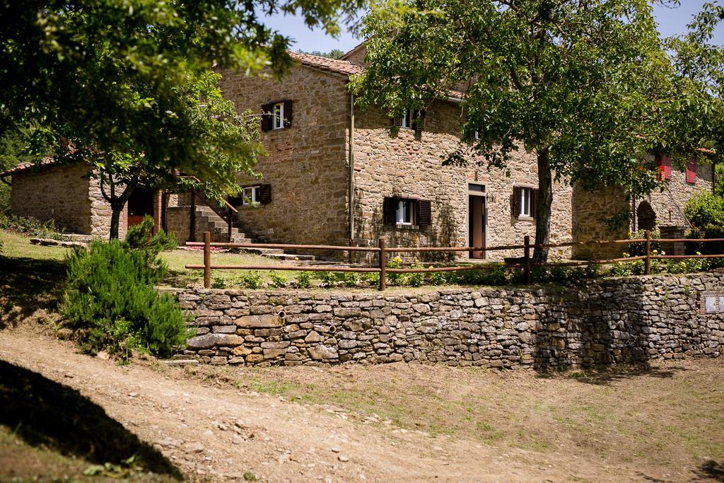 Borgo Al Teto La Vite Apartamento Castiglion Fiorentino Exterior foto