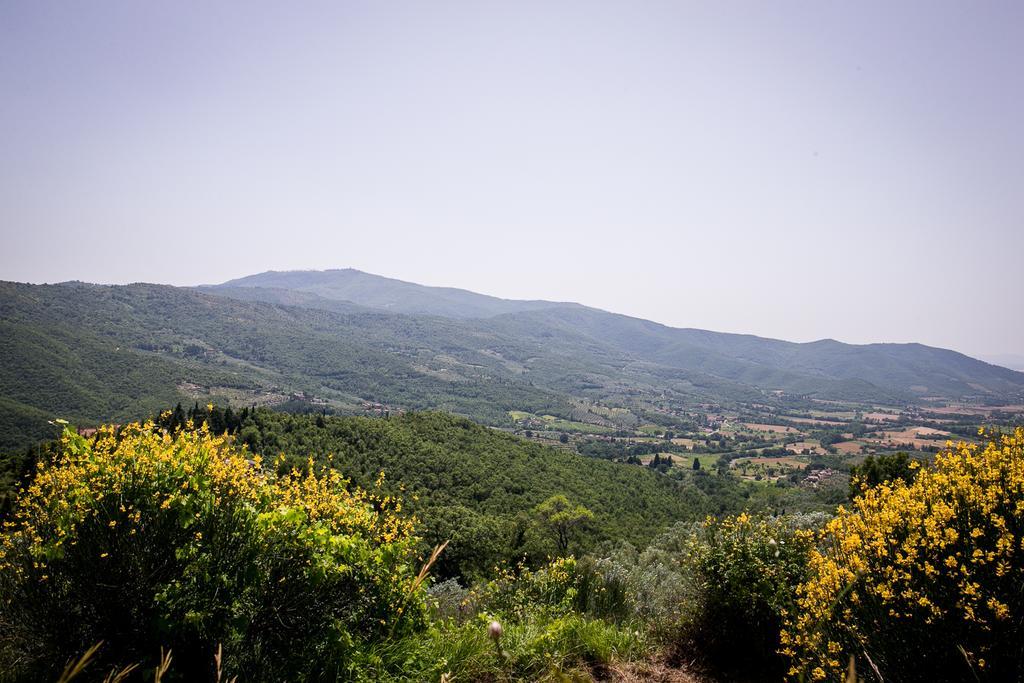 Borgo Al Teto La Vite Apartamento Castiglion Fiorentino Exterior foto