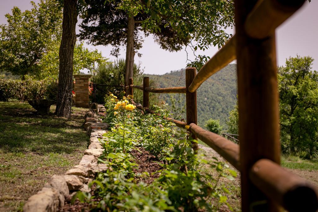 Borgo Al Teto La Vite Apartamento Castiglion Fiorentino Exterior foto