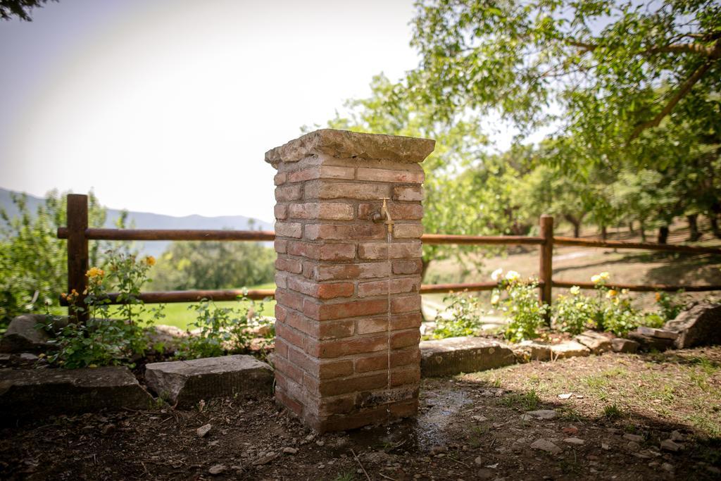 Borgo Al Teto La Vite Apartamento Castiglion Fiorentino Exterior foto