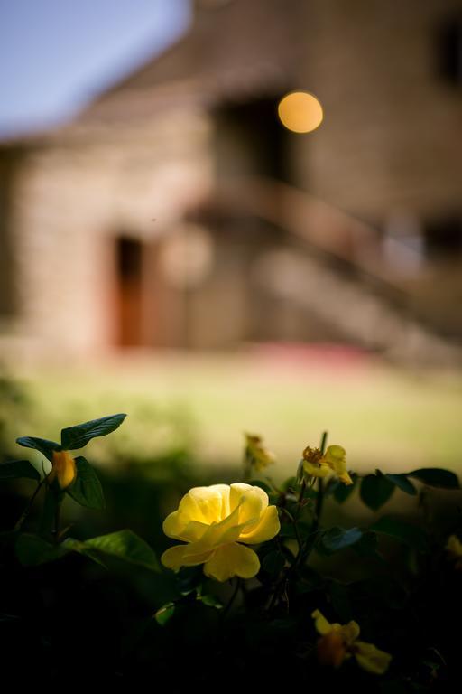 Borgo Al Teto La Vite Apartamento Castiglion Fiorentino Exterior foto